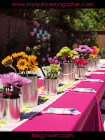 Affordable Quince Ideas My Quince