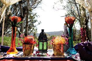Flowers_in_vases