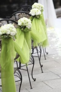 lime_16